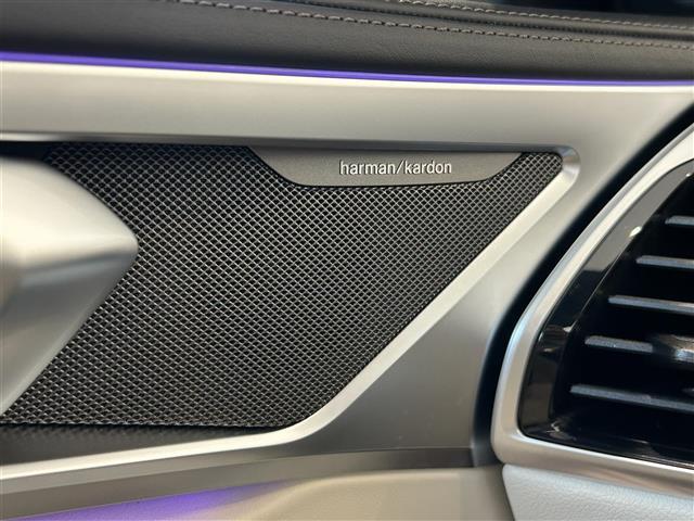 8シリーズ 840i カブリオレ エクスクルーシブ Mスポーツ 360°カメラ コーナーセンサー 革シート シートヒーター ハンドルヒーター シートクーラー Aクルーズコントロール Mサスペンション ヘッドアップディスプレイ スカイスクレーパーグレー ドラレコ(22枚目)