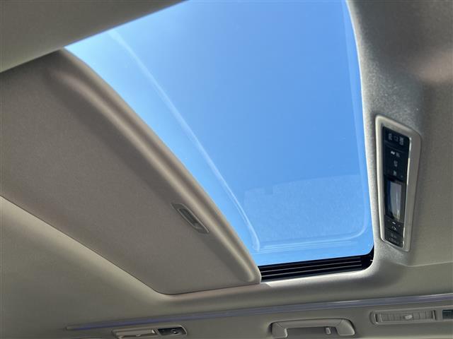 アルファード 2.5S Cパッケージ サンルーフ 皮 ナビ バックカメラ フリップダウンモニター フルセグ 2.0ETC ドラレコ 両側電動スライドドア 電動リアドア ステアヒーター 温冷シート 電動シート デジタルミラー クルコン(5枚目)