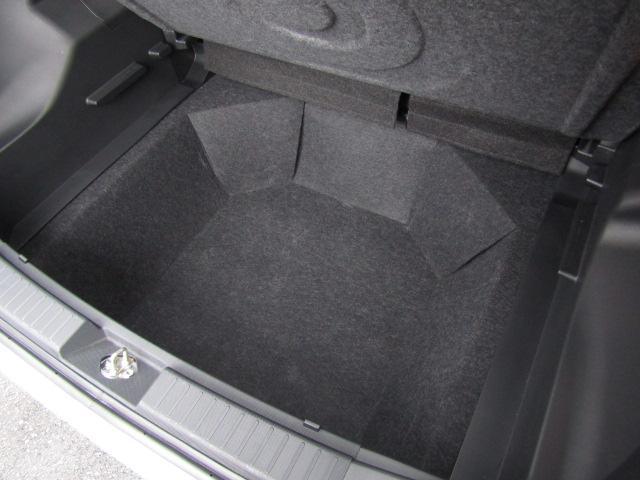 ライズ G ドライブレコーダー バックカメラ クリアランスソナー 衝突被害軽減システム ナビ オートライト LEDヘッドランプ アルミホイール スマートキー アイドリングストップ 電動格納ミラー CVT(48枚目)