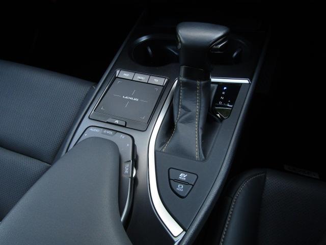 UX UX250h エレガントブラック サンルーフ/パノラミックビュー/純正12.3インチナビ/2.0ETC/前後ドラレコ/レーダークルーズ/黒革シート/シートヒーター/ゼーフティセンス/パワーバックドア/LED/フォグ/純正18AW/(35枚目)
