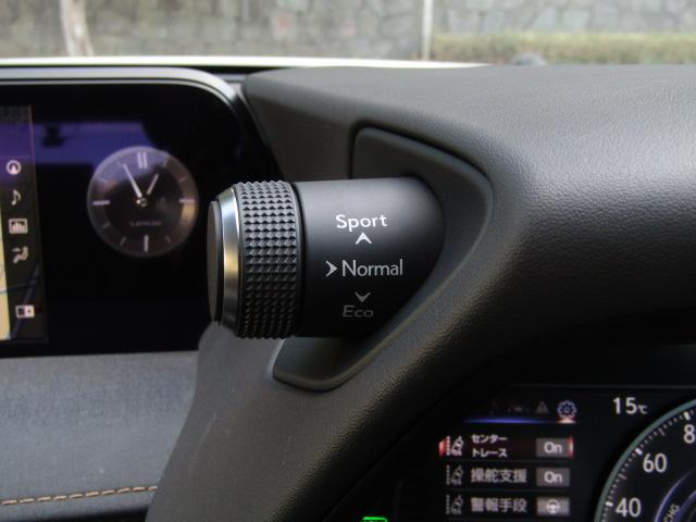 UX UX250h エレガントブラック サンルーフ/パノラミックビュー/純正12.3インチナビ/2.0ETC/前後ドラレコ/レーダークルーズ/黒革シート/シートヒーター/ゼーフティセンス/パワーバックドア/LED/フォグ/純正18AW/(42枚目)