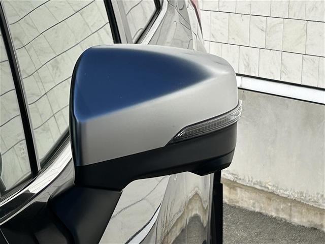 フォレスター アドバンス 禁煙車 4WD 純正SDナビ Bluetooth 全車速追従機能クルーズコントロール アクティブレーンキープアシスト プリクラッシュブレーキ LEDヘッドライト ドライブレコーダー バックカメラ(14枚目)