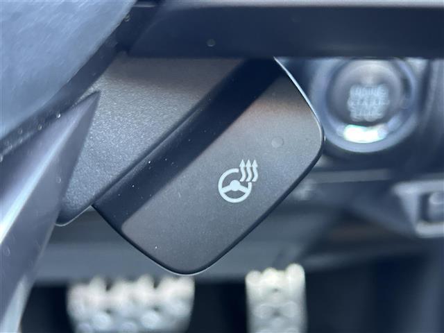 フォレスター アドバンス 禁煙車 4WD 純正SDナビ Bluetooth 全車速追従機能クルーズコントロール アクティブレーンキープアシスト プリクラッシュブレーキ LEDヘッドライト ドライブレコーダー バックカメラ(23枚目)