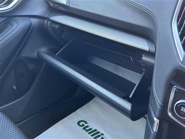 フォレスター アドバンス 禁煙車 4WD 純正SDナビ Bluetooth 全車速追従機能クルーズコントロール アクティブレーンキープアシスト プリクラッシュブレーキ LEDヘッドライト ドライブレコーダー バックカメラ(32枚目)