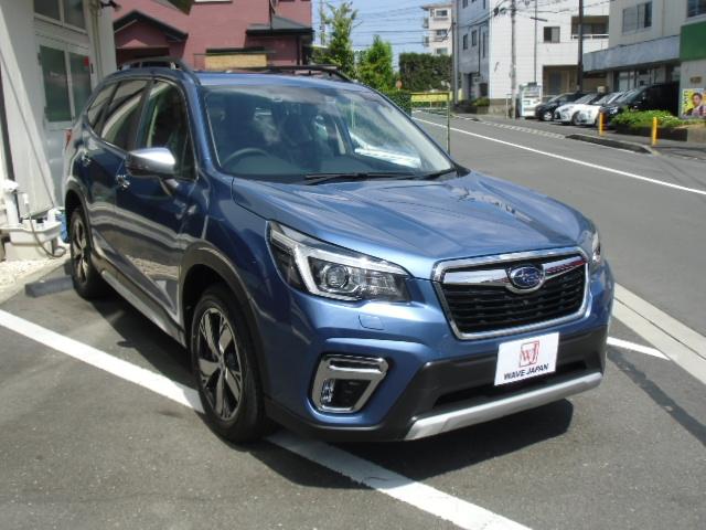 アドバンス SDナビ 全カメラ ルーフレール PIC型(9枚目)