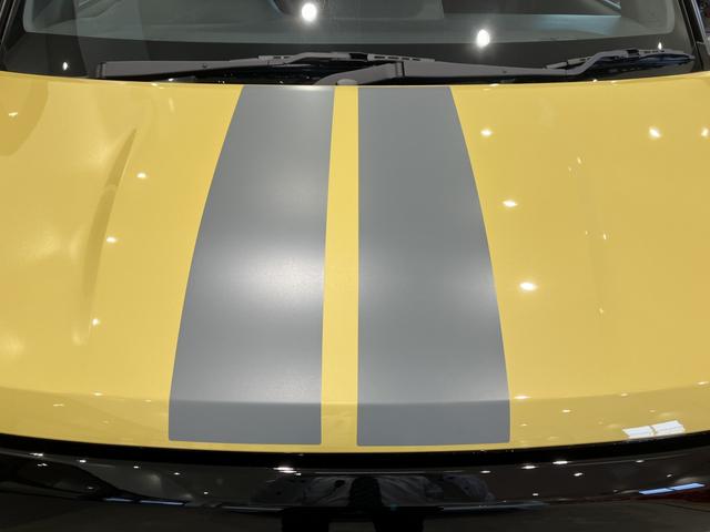 �ԑ̂��т��悤�ȁA��_�ȃZ���^�[�X�g���C�v�f�J�[���ł��B