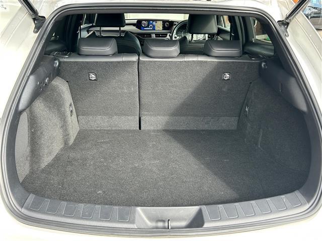 UX UX200 バージョンC(14枚目)