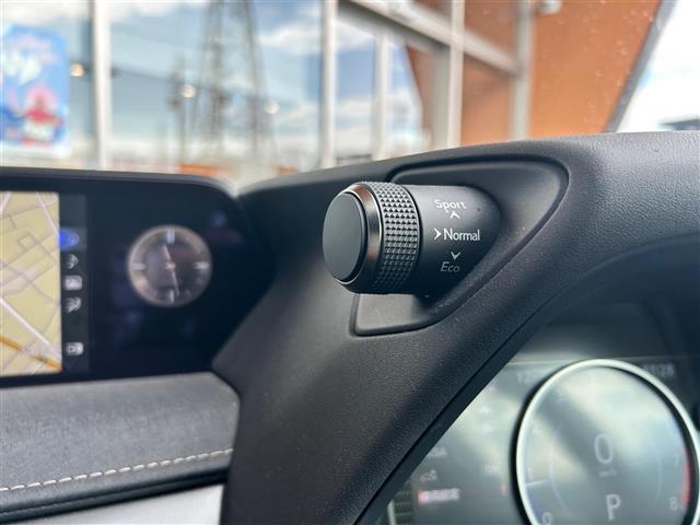 UX UX200 バージョンC(31枚目)