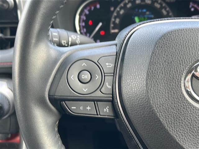 ＲＡＶ４ アドベンチャー　オフロードパッケージ（8枚目）