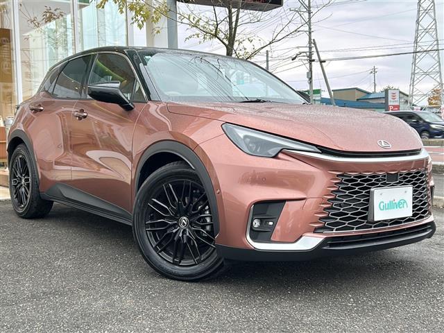 LBX ビスポークビルド(28枚目)