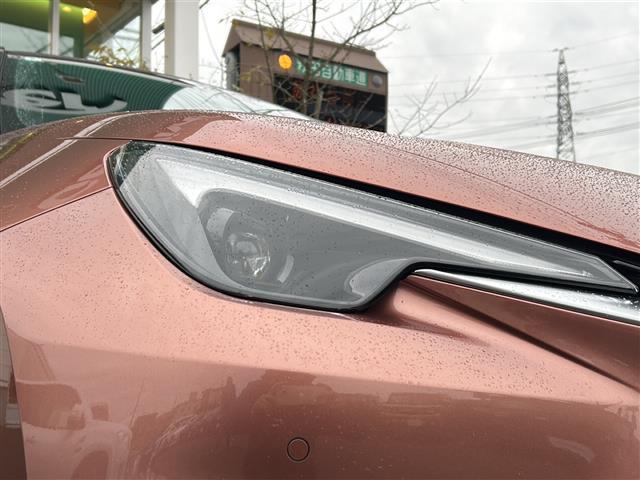 LBX ビスポークビルド(34枚目)