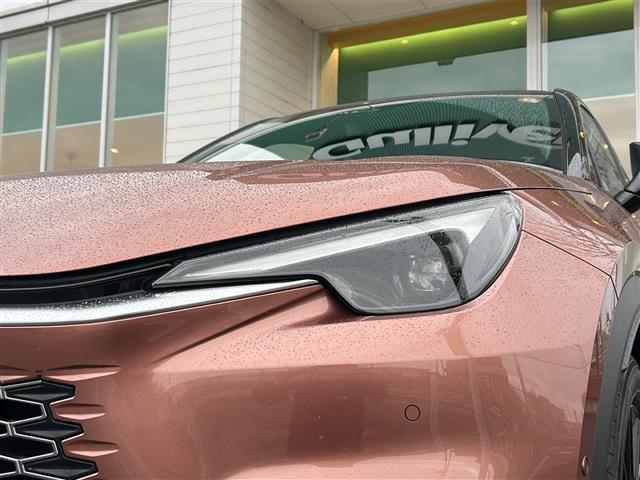 LBX ビスポークビルド(36枚目)