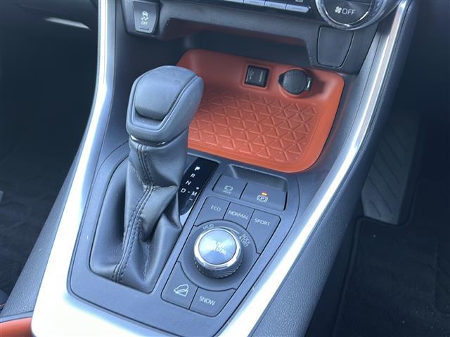 ＲＡＶ４ アドベンチャー　純正ナビ　フルセグ　バックカメラ　クルコン　ＥＴＣ　電動リアゲート　ルーフレール　純正アルミ　ＬＥＤヘッドライト　オートライト　オートエアコン　スマートキー　プッシュエンジン　４ＷＤ（11枚目）