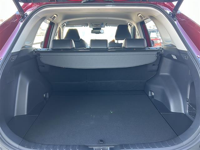 ＲＡＶ４ アドベンチャー　純正ナビ　フルセグ　バックカメラ　クルコン　ＥＴＣ　電動リアゲート　ルーフレール　純正アルミ　ＬＥＤヘッドライト　オートライト　オートエアコン　スマートキー　プッシュエンジン　４ＷＤ（23枚目）