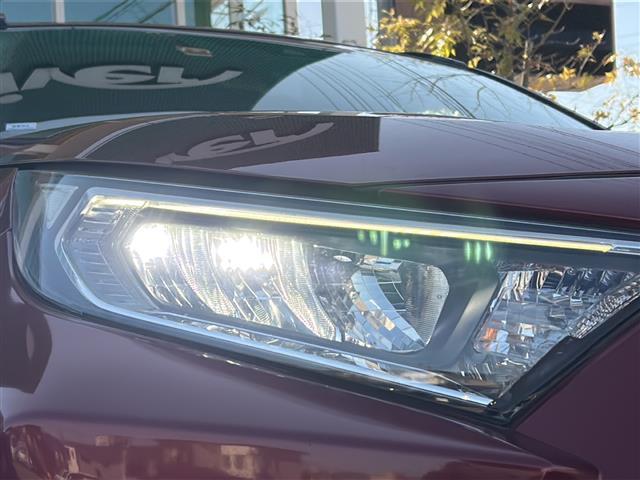ＲＡＶ４ アドベンチャー　純正ナビ　フルセグ　バックカメラ　クルコン　ＥＴＣ　電動リアゲート　ルーフレール　純正アルミ　ＬＥＤヘッドライト　オートライト　オートエアコン　スマートキー　プッシュエンジン　４ＷＤ（36枚目）