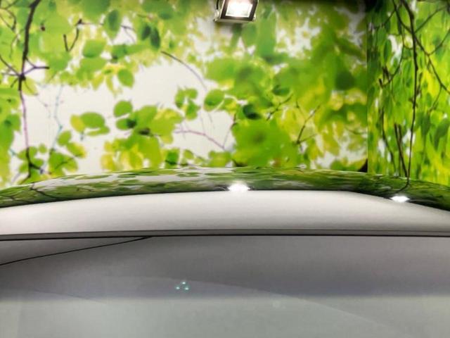 ステップワゴンスパーダ スパーダＺｉ　純正　ＨＤＤナビ／フリップダウンモニター／両側電動スライドドア／マルチビューカメラシステム／ヘッドランプ　ＨＩＤ／ＥＴＣ／ＥＢＤ付ＡＢＳ／横滑り防止装置／フロントモニター／サイドモニター　バックカメラ（49枚目）