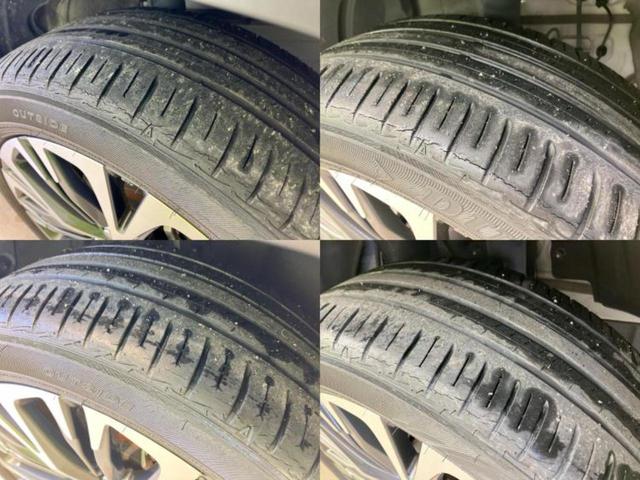 �u���̎Ԃ̎ʐ^�������ƌ������v�u��Ԃ��C�ɂȂ�v�u���̑����͂��Ă���H�v�ǂ�ȏ����ȋ^��ł����C�y�ɂ��₢���킹���������I