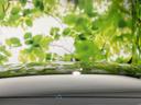 今の愛車いくらで売れるの?他社で査定して思ったより安くてショック・・・そんなお客様!是非一度WECARSの下取価格をご覧ください!お客様ができるだけお得にお乗り換えできるよう精一杯頑張ります!