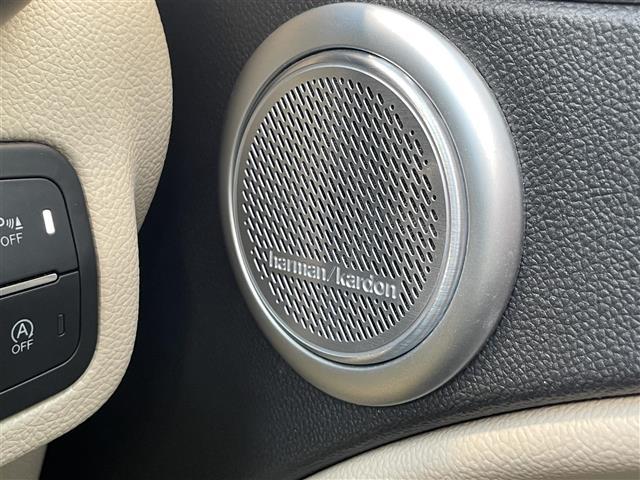 ステルヴィオ ２．２ターボ　ディーゼルＱ４ＴＩ　５０台限定特別仕様車／ｈａｒｍａｎ／ｋａｒｄｏｎ／パノラミックスライディングルーフ／ナチュラルレザーシート／レザーダッシュボード／ドアパネル／純正２１インチＡＷ／ステアリングヒーター／スペアキー（24枚目）
