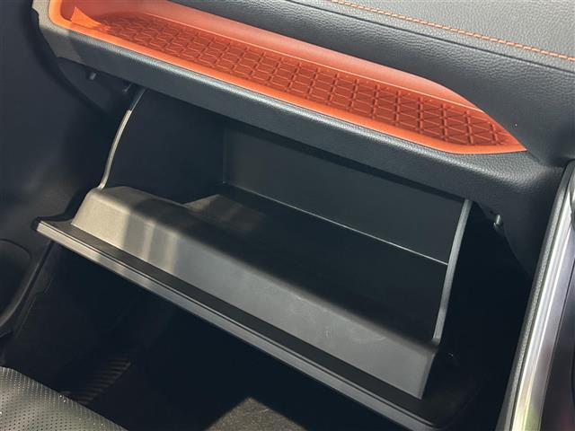 RAV4 アドベンチャー 4WD 純正ナビFM/AM/フルセグ Bluetooth クルーズコントロール 全周囲バックカメラ 車線逸脱防止 衝突軽減ブレーキ 電動パーキングブレーキ 横滑り防止装置 ルーフレール シートヒーター(32枚目)