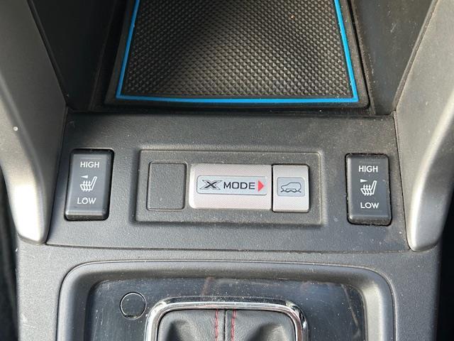 フォレスター 2.0XT アイサイト 純正ナビ(BT/フルセグ/DVD/CD/ラジオ)/社外マフラー/STIタワーバー/バックカメラ/アイサイト/LEDアクセサリーライナー/シートヒーター/ETC/TEINダウンサス/HIDヘッドライト(10枚目)