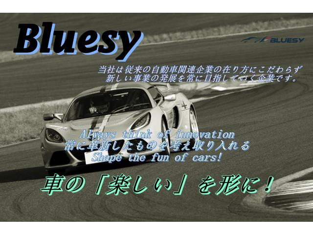 モデル3 ロングレンジ 走行2.2万キロ・正規ディーラー車・上海製造・Intel Atom・オートパイロット・ガラスルーフ・ホワイトレザーシート・パワートランク・純正19インチアルミホイール・シートヒーター・パワーシート(16枚目)