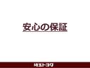 ２．５Ｓ　タイプゴールドＩＩＩ　メモリーナビ　フルセグＴＶ　ＣＤＤＶＤ再生　後席モニター　バックカメラ　ＥＴＣ　両側電動スライドドア　ドラレコ　衝突軽減ブレーキ　踏み間違い制御装置　車線逸脱警報　オートハイビーム　ブラインドモニター（48枚目）