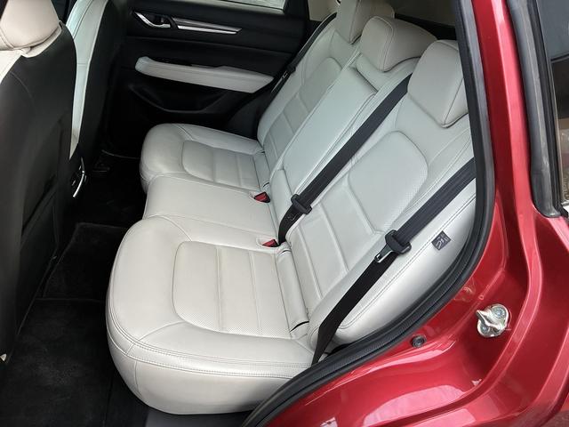 ＣＸ－５ ２５Ｓ　Ｌパッケージ　純正ＳＤナビラジオＢｌｕｅｔｏｏｔｈＵＳＢＣＤＤＶＤＦ・ＲシートヒータステアリングヒータープッシュスタートオートＷエアコンバックカメラステリモクルーズコントロールオートライトパワーゲートスマートキー（14枚目）