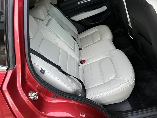 ＣＸ－５ ２５Ｓ　Ｌパッケージ　純正ＳＤナビラジオＢｌｕｅｔｏｏｔｈＵＳＢＣＤＤＶＤＦ・ＲシートヒータステアリングヒータープッシュスタートオートＷエアコンバックカメラステリモクルーズコントロールオートライトパワーゲートスマートキー（22枚目）