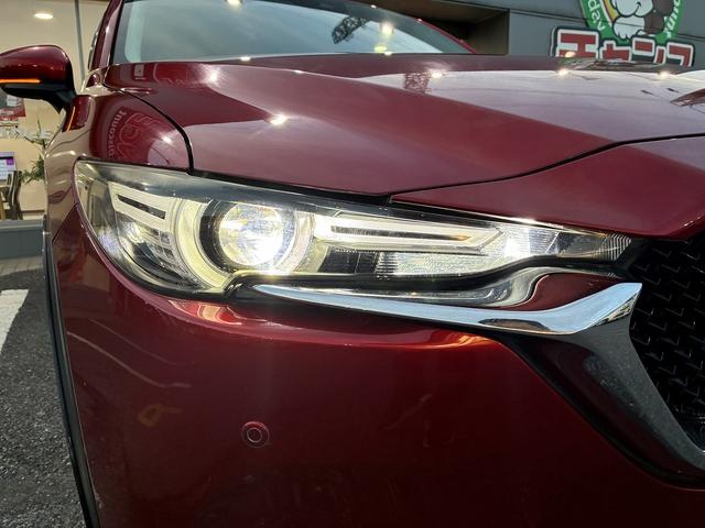 ＣＸ－５ ２５Ｓ　Ｌパッケージ　純正ＳＤナビラジオＢｌｕｅｔｏｏｔｈＵＳＢＣＤＤＶＤＦ・ＲシートヒータステアリングヒータープッシュスタートオートＷエアコンバックカメラステリモクルーズコントロールオートライトパワーゲートスマートキー（51枚目）