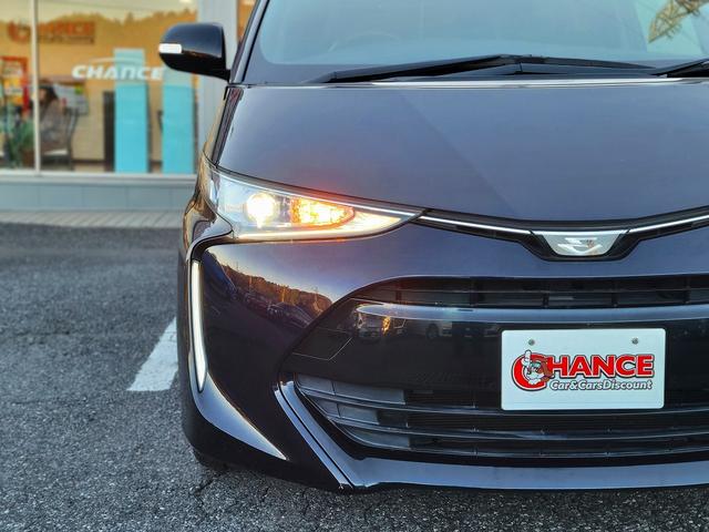 エスティマ アエラス プレミアム-G 純SDナビ・フルセグ・Bluetooth・CD・DVD・SD・バックカメラ・F席シートヒーター・両側電動スライド・オートライト・ドラレコ・クルコン・ステリモ・衝突軽減ブレーキ・スマートキー電動Rゲート(51枚目)