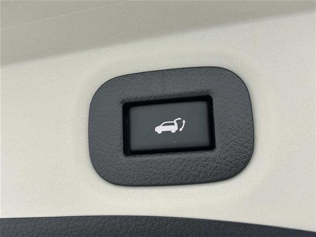 エクストレイル 20Xi 純正9インチナビ アラウンドビューモニター プロパイロット パワーバックドア LEDライト シートヒーター 純正18インチAW ステアリングリモコン ダウンヒルアシスト ETC スマートキー 禁煙車(25枚目)