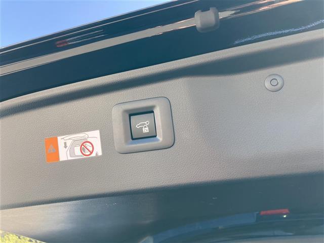 ヴェルファイアハイブリッド Ｚ　プレミア　純正ナビ　フルセグＴＶ　Ｂｌｕｅｔｏｏｔｈ　サンルーフ　ユニバーサルステップ　茶革シート　フリップダウンモニター　全方位モニター　デジタルインナーミラー　プリクラッシュセーフティー（29枚目）