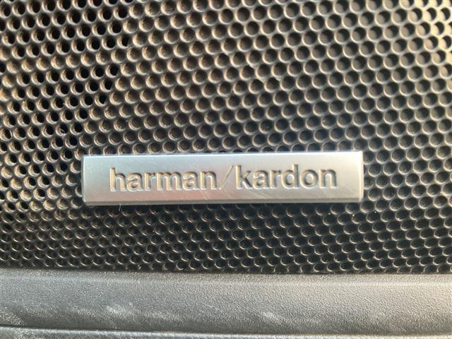 レガシィアウトバック リミテッドEX ☆Harmon Kardon ☆純正大型メモリーナビ・Bluetooth・USB☆フルセグTV☆バックカメラ(フロントカメラ/左サイドカメラ)☆アイサイトX ☆パワーバックドア ☆全席シートヒーター(15枚目)