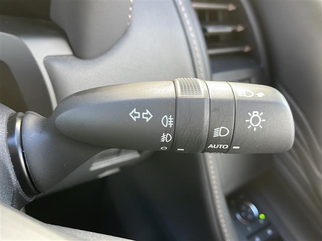 アルファード Ｚ　ワンオーナー　禁煙車　トヨタセーフティセンス　ブラインドスポットモニター　純正ディスプレイオーディオナビ　フルセグ　パノラミックビューモニター　ビルトインＥＴＣ２．０　おくだけ充電　両側パワースライド（32枚目）