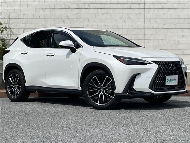 ＮＸ ＮＸ３５０ｈ　バージョンＬ　サンルーフ／マークレビンソン／純正ナビ／赤革シート／シートヒーター／ベンチレーション／パワーシート／電子パーキングブレーキ／ブレーキホールド／デジタルインナーミラー／パワーバックドア／全周囲カメラ（33枚目）