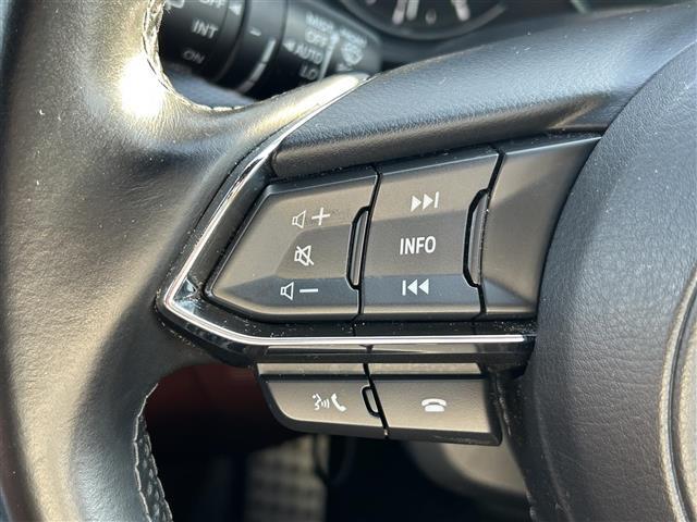 ＣＸ－８ ＸＤ　エクスクルーシブモード　☆ワンオーナー☆サンルーフ☆純正ナビ（ＢＴ／フルセグ／ＴＶキャンセラー）☆ＢＯＳＥプレミアムサウンドシステム☆アラウンドビューモニター☆バックカメラ☆フロントカメラ☆サイドカメラ☆電動リアゲート（8枚目）