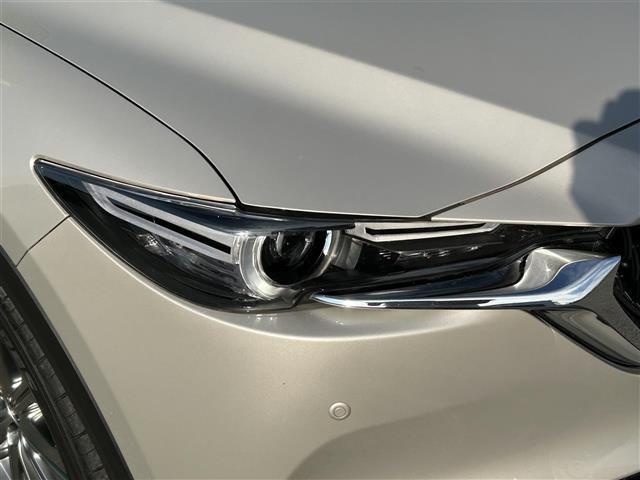 ＣＸ－８ ＸＤ　エクスクルーシブモード　☆ワンオーナー☆サンルーフ☆純正ナビ（ＢＴ／フルセグ／ＴＶキャンセラー）☆ＢＯＳＥプレミアムサウンドシステム☆アラウンドビューモニター☆バックカメラ☆フロントカメラ☆サイドカメラ☆電動リアゲート（34枚目）