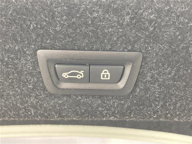 ３シリーズ ３３０ｅ　Ｍスポーツ　ワンオーナー　ハーマンカードンサウンドシステム　純正ナビ　ＢＴ　フルセグ　Ｓｐｏｔｉｆｙ　ＡＭ　ＦＭ　アラウンドビューモニター　Ｂカメラ　フロントカメラ　サイドカメラ　ＡＣＣ　ＡＨＢ　ハーフレザー（22枚目）