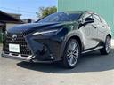 ガリバーグループでは新鮮在庫が毎日約500台入荷!ワクワクするクルマ選びをご提案します!