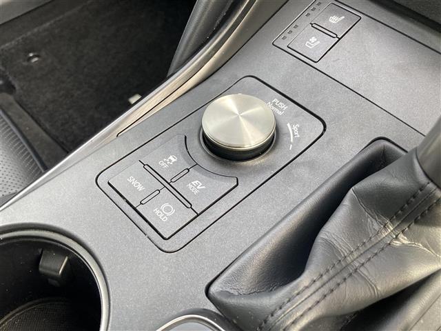 IS IS300h バージョンL ムーンルーフ Toyota Safety Sense 純正ナビ フルセグTV ETC2.0 アラウンドビューモニター ドライブレコーダー 三眼LEDヘッドランプ レザーシート シートベンチレーション(40枚目)