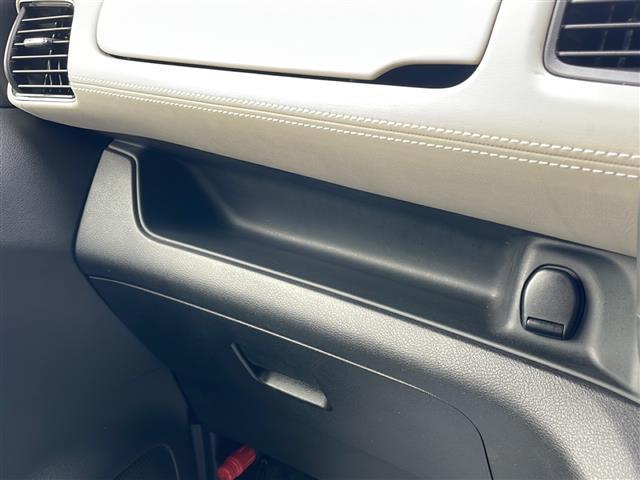 セレナ ハイウェイスター 純正9インチナビ 純正フリップダウンモニター プロパイロット デジタルインナーミラー アラウンドビューモニター パーキングアシスト ETC LEDヘッドライト(20枚目)