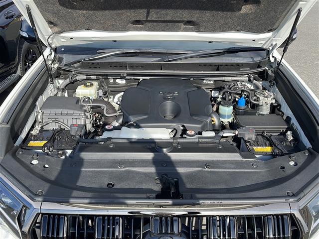 ランドクルーザープラド TX Lパッケージ・ブラックエディション ワンオーナー 純正ディスプレイオーディオ フルセグテレビ 全方位モニター トヨタセーフティセンス ブラックレザーシート シートヒーター ベンチレーション ビルトインETC 寒冷地仕様 純正アルミ(42枚目)