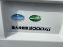 ISUZU ELF TRUCK