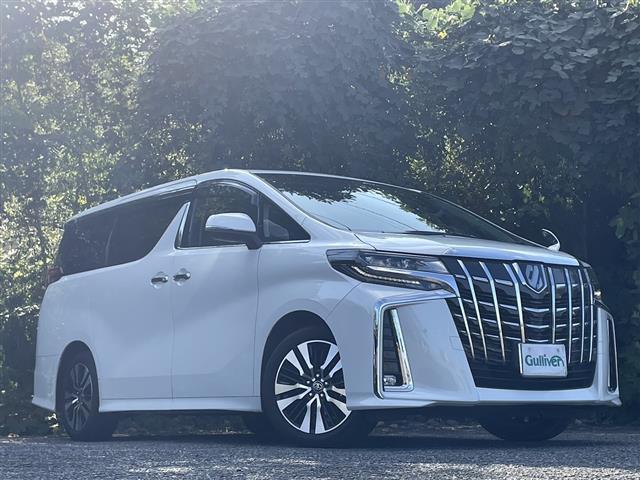 アルファード ２．５Ｓ　Ｃパッケージ　両電動ドア　電動トランク　本革　レーダクルーズ　コーナーセンサ　オートＬＥＤ　Ｂモニタ　レーンキープ　オットマン　地デジ　エアロ　シートクーラー　シートヒータ　リアオートエアコン　ＴＶ　横滑り防止（10枚目）
