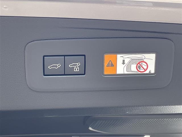 ランドクルーザー250 VX サンル-フ 革シート 寒冷地仕様 LEDヘッドランプ 4WD レーンアシスト 衝突軽減システム スマートキー アラウンドビューカメラ パワートランク レーダークルコン Bluetooth接続(40枚目)