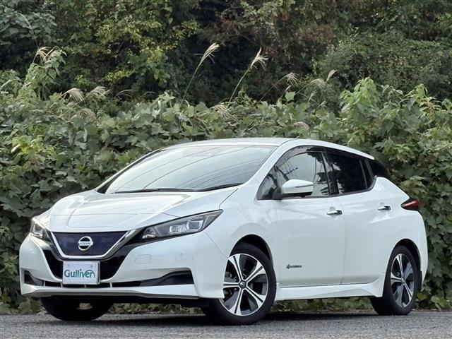 リーフ Ｘ　Ｖセレクション　レーダークルコン　Ｂｌｕｅｔｏｏｔｈオーディオ　３６０°カメラ　踏み間違い防止装置　ＬＥＤランプ　シートヒーター　クリアランスソナー　ナビ　１オーナー　オートライト　ＥＴＣ　インテリキー　ＡＢＳ（4枚目）