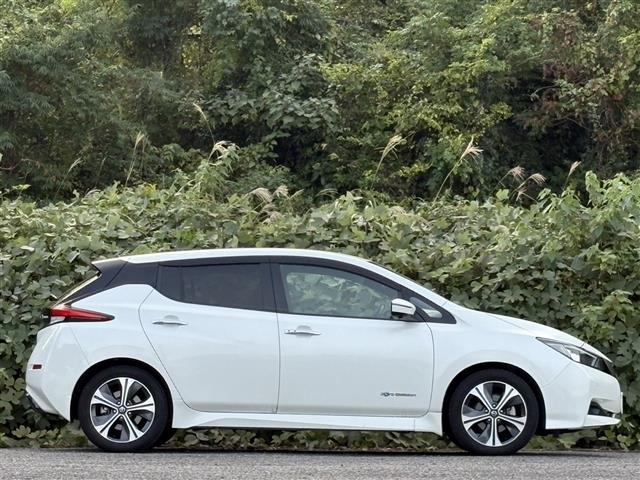 リーフ Ｘ　Ｖセレクション　レーダークルコン　Ｂｌｕｅｔｏｏｔｈオーディオ　３６０°カメラ　踏み間違い防止装置　ＬＥＤランプ　シートヒーター　クリアランスソナー　ナビ　１オーナー　オートライト　ＥＴＣ　インテリキー　ＡＢＳ（9枚目）