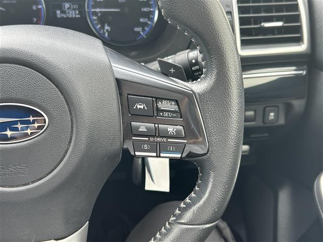 レヴォーグ 1.6GTアイサイト 純正ナビ/バックカメラ/アイサイト/TV(フルセグ)/4WD/ターボエンジン/クルーズコントロール/スマートキー/純正アルミホイール/電動格納ミラー/アイドリングストップ/ETC/プッシュスタート(10枚目)