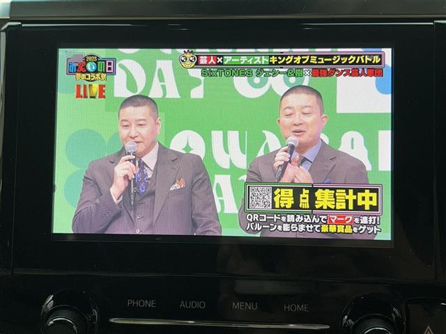 アルファード ３．５ＧＦ　ワンオーナー／純正ナビ／ＤＶＤ／ＡＭ／ＦＭ／ＢＴ／フルセグＴＶ／バックカメラ／ＥＴＣ／サンルーフ／両側パワースライドドア／衝突軽減ブレーキ／レーダークルーズコントロール／前後ドライブレコーダー（14枚目）